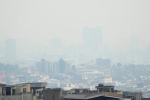 Forest fires degrade air quality and force the use of face masks in southern city