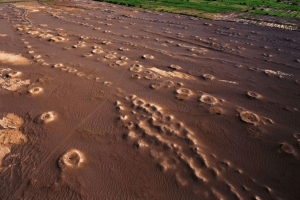 Four Chinese irrigation projects have been recognized as World Heritage