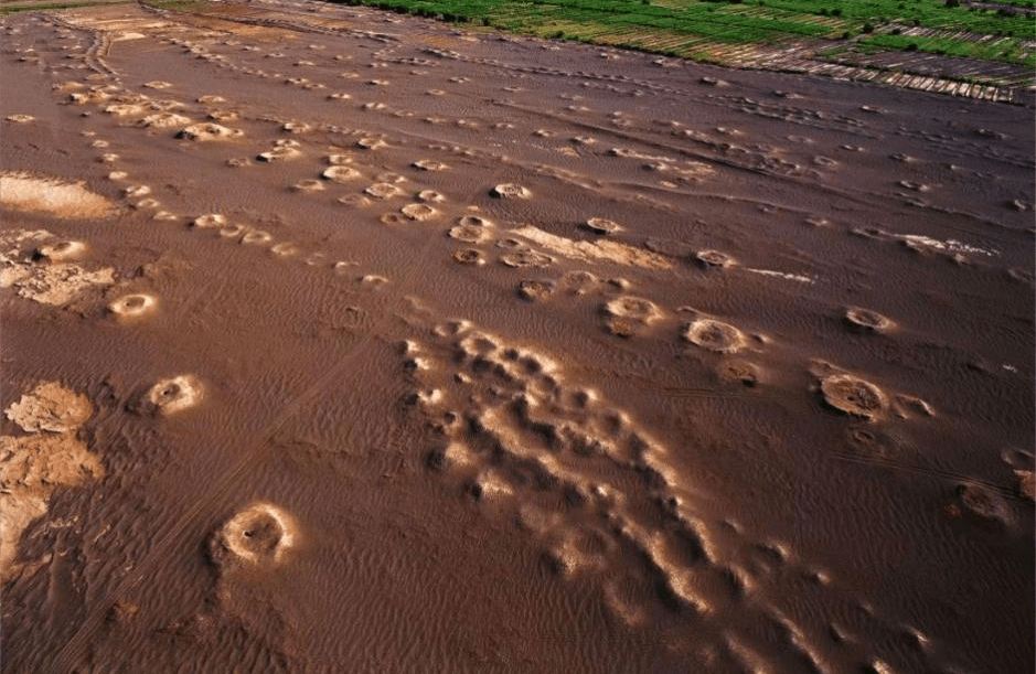 Four Chinese irrigation projects have been recognized as World Heritage