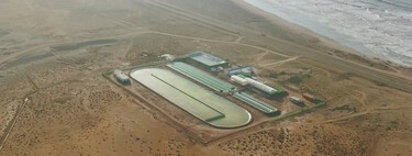 There are people growing algae in the middle of the Sahara desert with one goal: to capture CO2 from the atmosphere