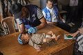 Mass polio vaccination campaign begins for more than 640,000 children in the Gaza Strip