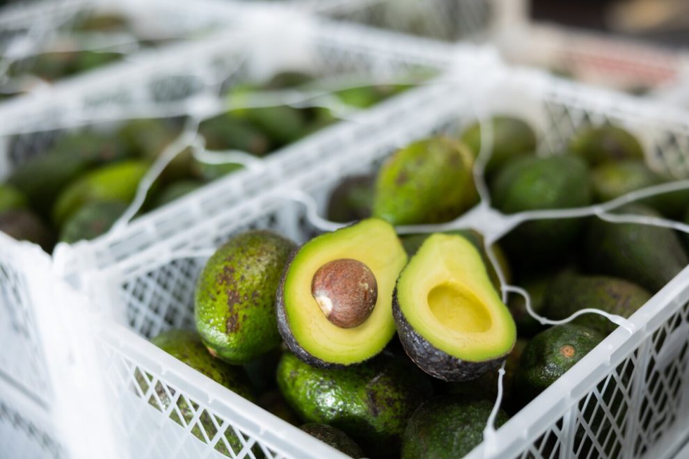 Mexico and the US agree that Sader will supervise avocados for export