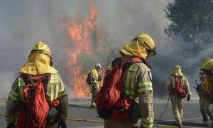 Portugal declares state of emergency due to more than 100 fires spreading out of control