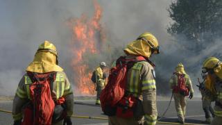 Portugal declares state of emergency due to more than 100 fires spreading out of control