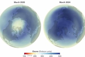 Difference in ozone layer density over the Arctic from 2020 to 2024