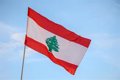 The United Kingdom urges its citizens in Lebanon to take the next available commercial flight