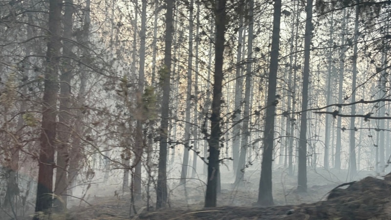 The biggest forest fire in Ecuador in recent years is still active; Colombia sends support