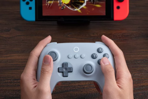 The controller works with Nintendo Switch