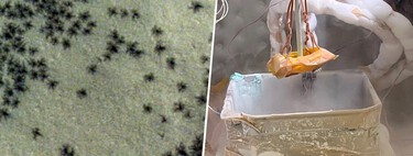 The mystery of the spiders on Mars now has an answer: NASA has managed to recreate them on Earth