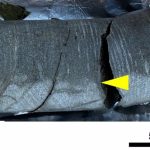 This photograph was taken on site when the drill core sample was washed, flamed, and then cracked. The 30 centimeters long and 85 millimeters diameter core was taken back to Japan for further study.