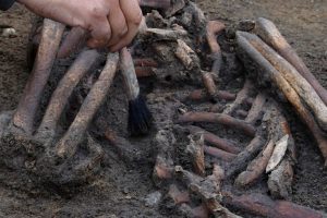 The skeletons were exceptionally well preserved due to the chalk and water in the ground. Credit: Tom Little/Reuters