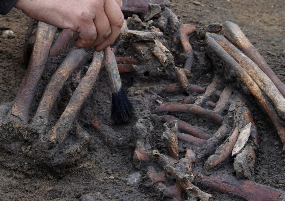 The skeletons were exceptionally well preserved due to the chalk and water in the ground. Credit: Tom Little/Reuters