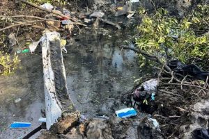 The wreckage of the aircraft is seen at the crash site in Chachoengsao province, Thailand, on August 22, 2024.