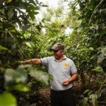 Banco de Bogotá promotes the financial inclusion of coffee growers