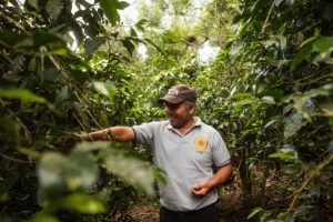 Banco de Bogotá promotes the financial inclusion of coffee growers