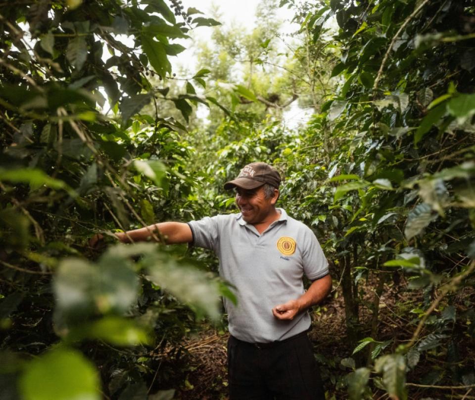 Banco de Bogotá promotes the financial inclusion of coffee growers