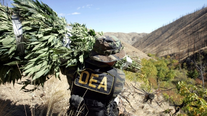 Control agency criticizes DEA for not reporting torture committed by peers in Latin America