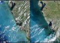 Copernicus chooses the west coast of Florida before and after Hurricane 'Milton' as image of the day