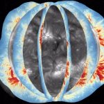 Illustration of the global coronal magnetic field as the Sun rotates. The background shows the solar corona observed in the extreme ultraviolet waveband, with maps of the global coronal magnetic field measured at different times superimposed