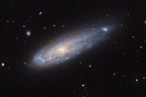 This image from the NASA/ESA Hubble Space Telescope shows the spiral galaxy IC 3225.