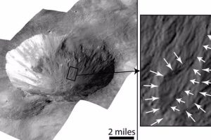 This image of Cornelia Crater on Vesta shows lobed deposits (right) and curvilinear gullies (highlighted by the short white arrows, left). According to an article recently published in The Planetary Science Journal,