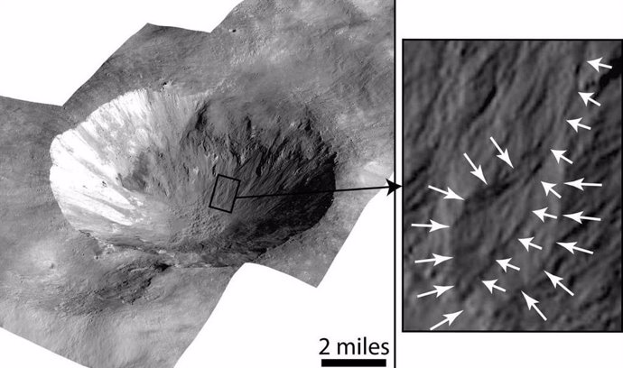 This image of Cornelia Crater on Vesta shows lobed deposits (right) and curvilinear gullies (highlighted by the short white arrows, left). According to an article recently published in The Planetary Science Journal,