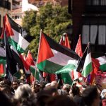 Pro-Palestinian demonstration in Madrid