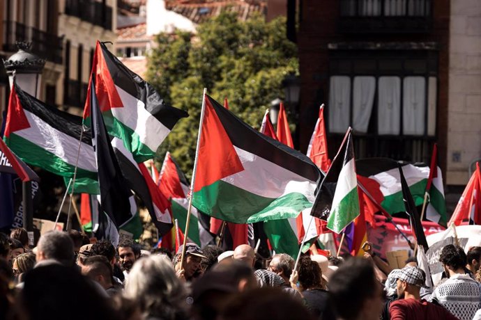 Pro-Palestinian demonstration in Madrid