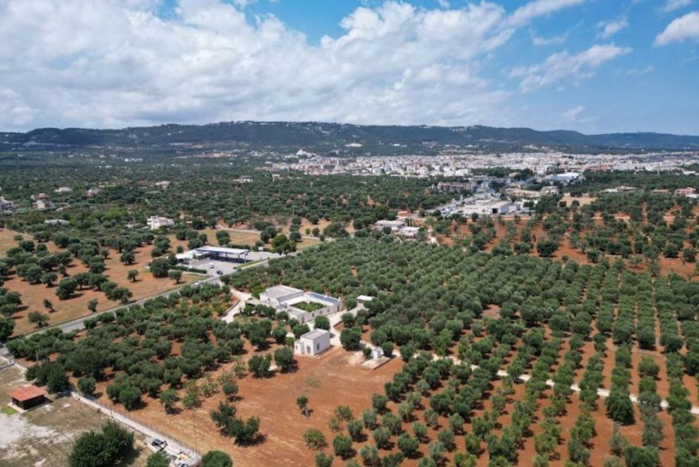 The town of Fasano and its surroundings, near the luxury resort of Borgo Egnazia, site of the G7 summit, on June 4, 2024.