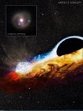 NASA identifies a black hole that has destroyed a star and is searching for another