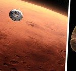 Largest study in mice raises doubts about trips to Mars: space shrinks kidneys