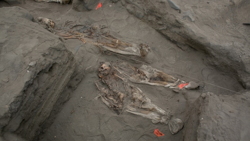 Remains of dozens of children possibly sacrificed 600 years ago found in northern Peru