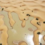 A view of lakes caused by heavy rain among sand dunes in the desert town of Merzouga, near Rachidia, southeastern Morocco, on October 2, 2024.