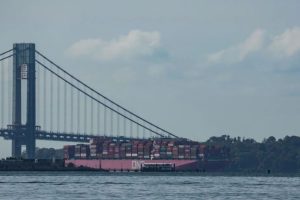 The container ship One Falcon passes the Verrazano Bridge in New York Harbor upon arrival on October 4, 2024. Bryan R. Smith/AFP/Getty Images