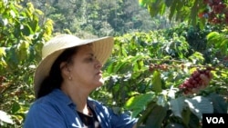 In Photos | Coffee, an engine of reconciliation and prosperity in Colombia