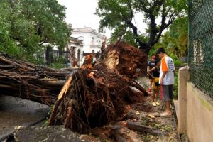 Cuba does not expect economic growth this year due to the scourge of hurricanes and earthquakes