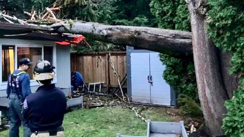 "Cyclonic bomb" in the northwest of the US leaves one dead and 600,000 houses without power