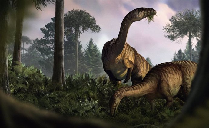 A duo of sauropodomorphs; one chewing on the newly evolved plants in a humid Early Jurassic environment while the other looks up as if there is something hidden in the vegetation.