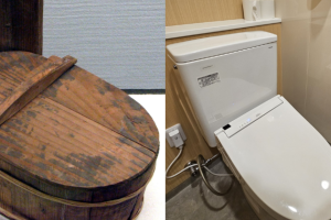 From a pit to a smart toilet: the evolution of bathroom use