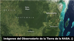 Satellite image of the Mayan jungle in Guatemala taken on March 27, 2000, before deforestation. [Fotografía: Observatorio de la Tierra de la NASA]