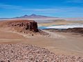 Live microbes discovered in the driest desert on Earth