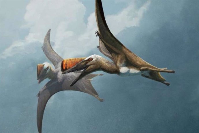 Restoration of life of two Skiphosoura bavarica in flight.