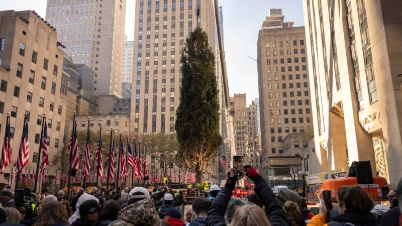 Rockefeller Center Christmas tree arrives in New York