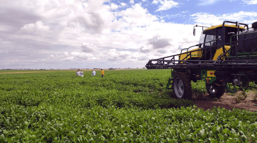 Ruiz Tucumán Group