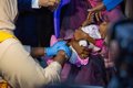 Sudan launches its first malaria vaccination campaign in the midst of war