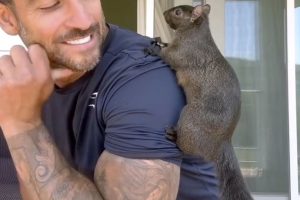 This undated image provided by Mark Longo shows him with his pet squirrel, Peanut.