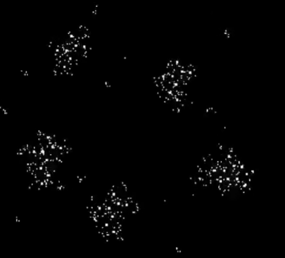 The message, decoded by Ken Chaffin and his daughter Keli, is not static but in motion as the white dots organize into the five amino acids. Credit: Ken Chaffin.