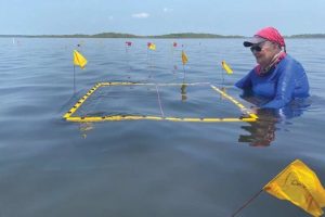 An excavation grid is placed to mark an area of ​​high-density pottery on the sea floor.