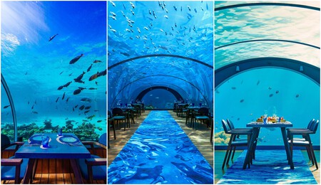 5-8.Undersea Restaurant