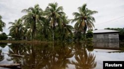 In Photos | Thousands of victims leave the passage of Storm Sara through Honduras and Belize